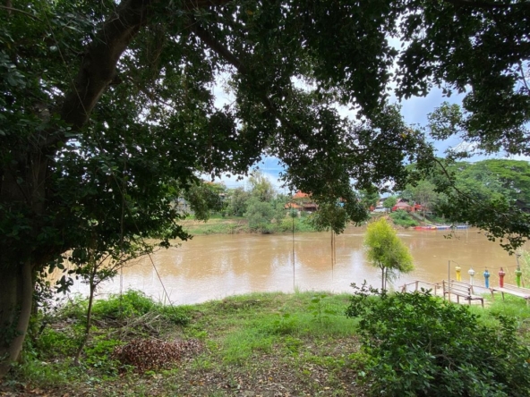 Chiang Mai-P-PCCS1154