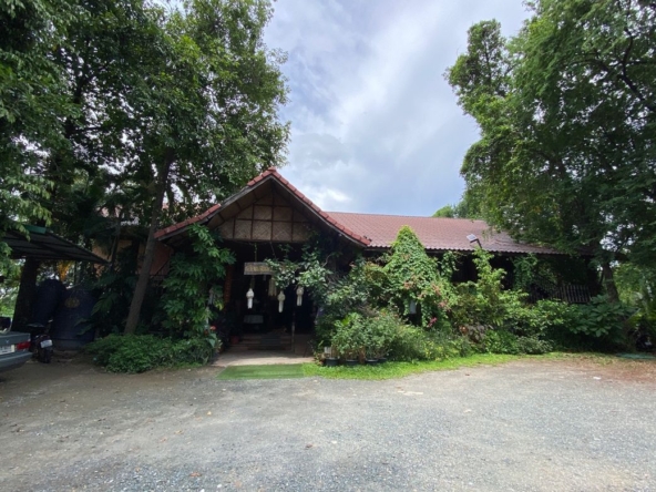 San Phi Sua