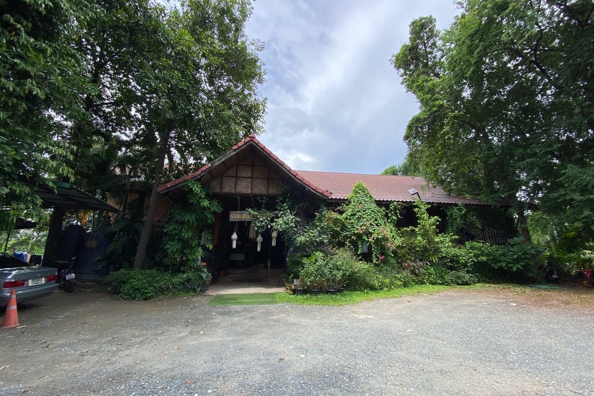 San Phi Sua