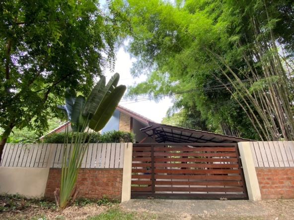 Muang Chiang Mai-P-PHS1155