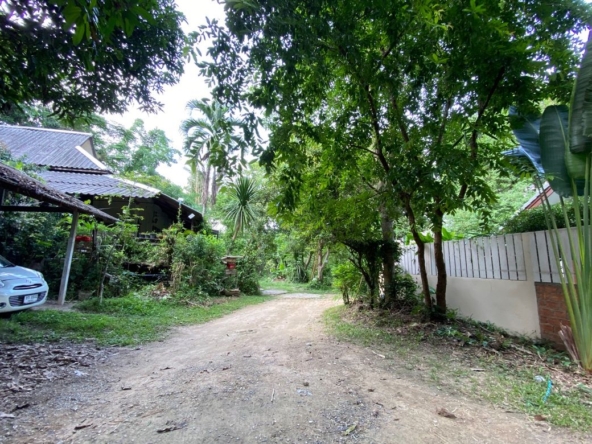 Muang Chiang Mai-P-PHS1155