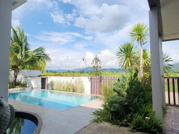 Modern style 4 bedroom house with pool for sale in San Kamphaeng