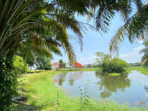 3 bedroom lake front house in Doi Saket for sale-SHG-HS412