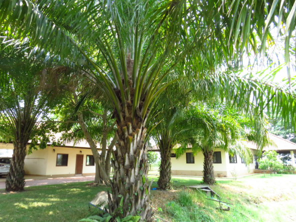 3 bedroom lake front house in Doi Saket for sale-SHG-HS412