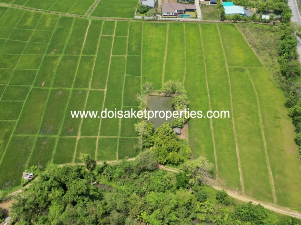 -DSP-(LS408-40) Beautiful 40+ Rai Plot of Subdividable Land for Sale in Choeng Doi