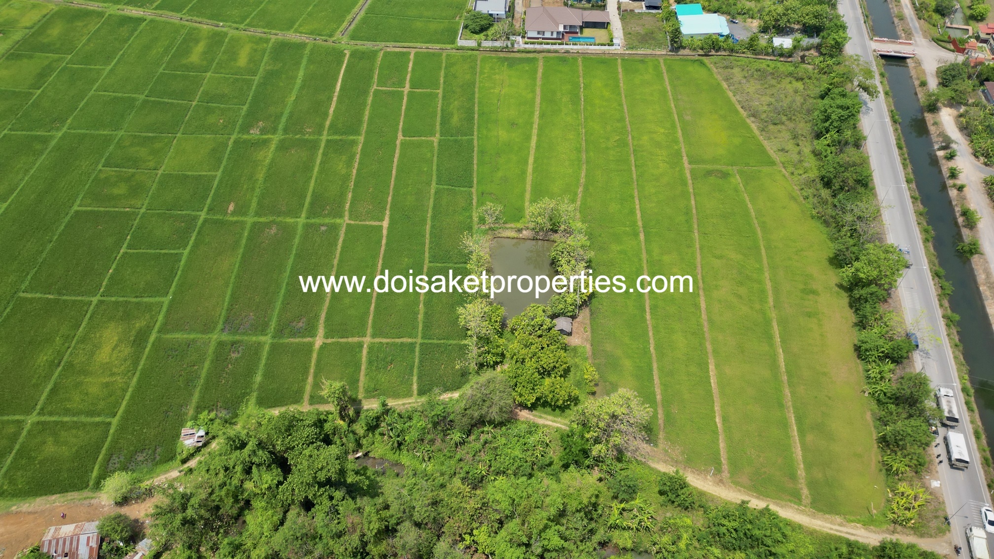 -DSP-(LS408-40) Beautiful 40+ Rai Plot of Subdividable Land for Sale in Choeng Doi
