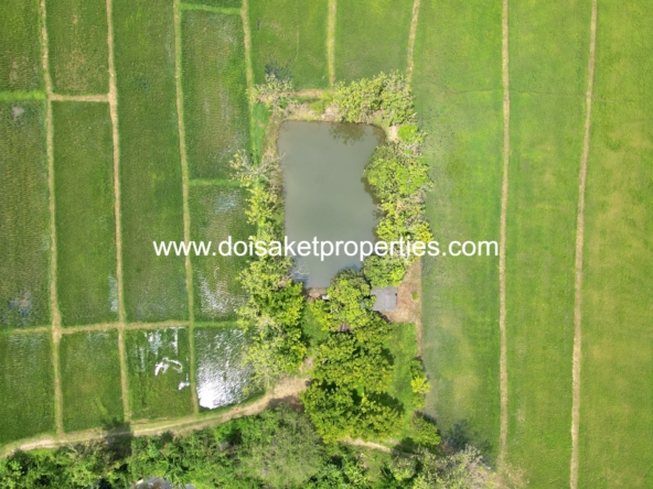 -DSP-(LS408-40) Beautiful 40+ Rai Plot of Subdividable Land for Sale in Choeng Doi