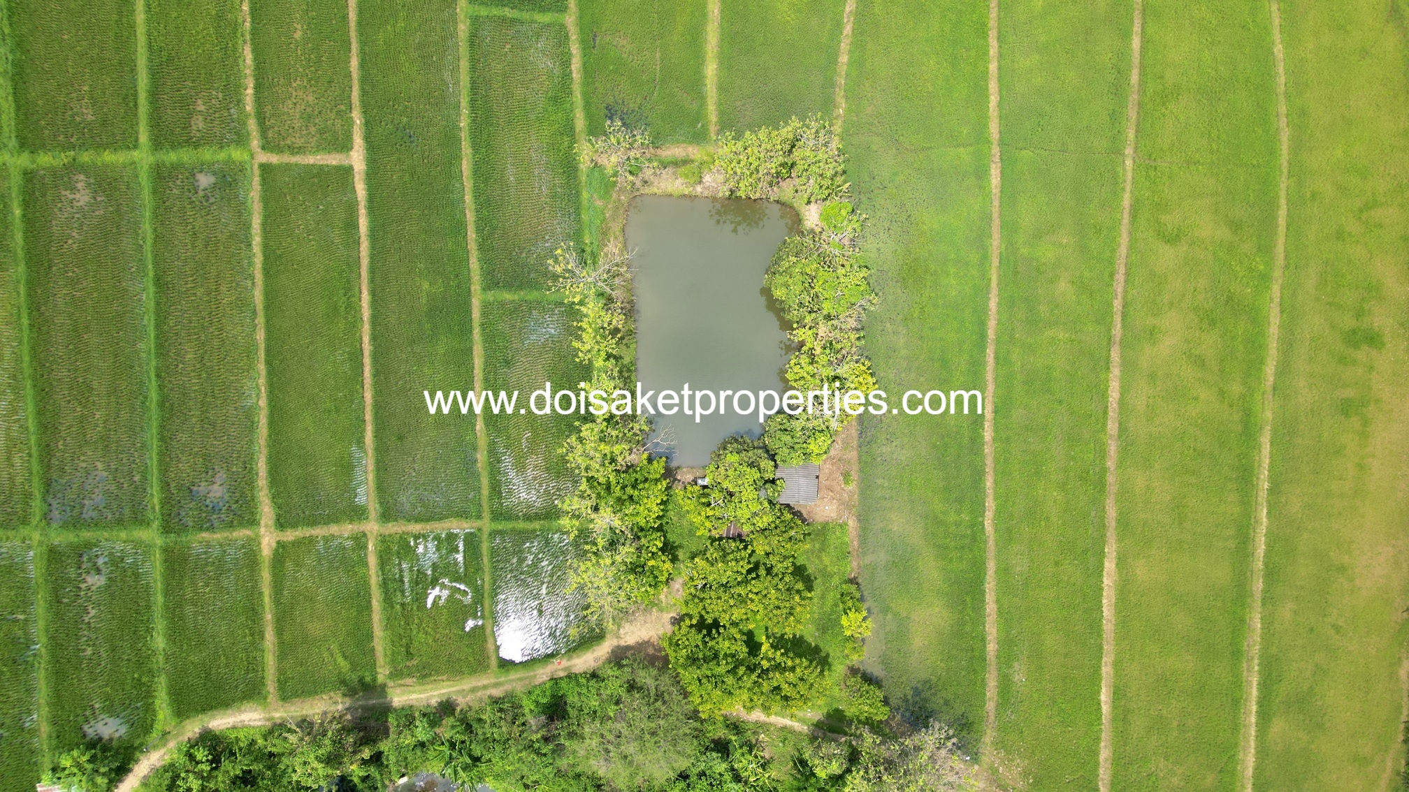 -DSP-(LS408-40) Beautiful 40+ Rai Plot of Subdividable Land for Sale in Choeng Doi