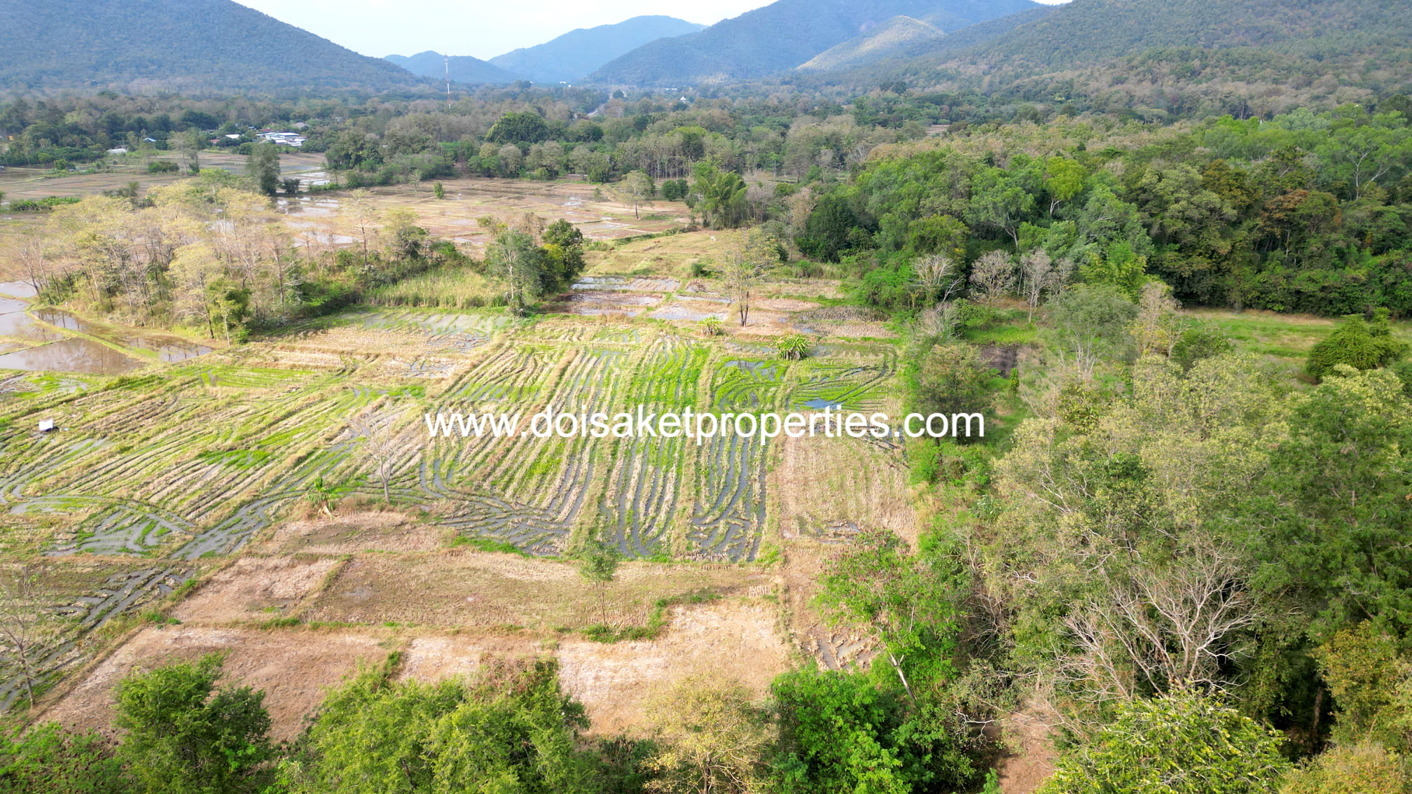 Doi Saket