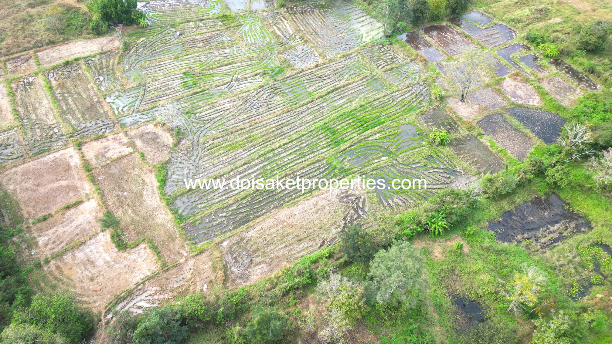 Doi Saket-DSP-(LS400-07) 7-Rai Plot of Land for Sale in Luang Nuea