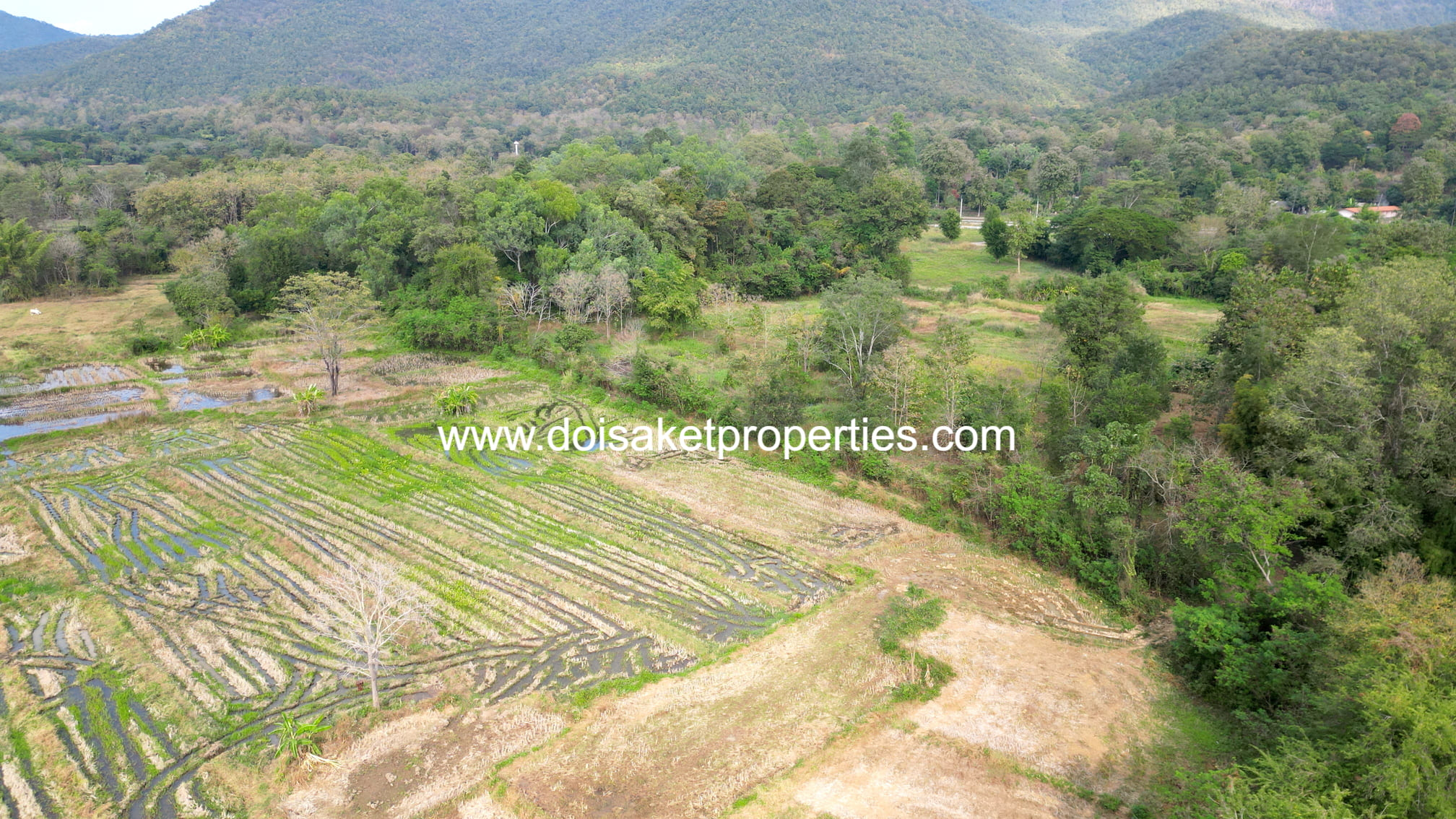 Doi Saket-DSP-(LS400-07) 7-Rai Plot of Land for Sale in Luang Nuea