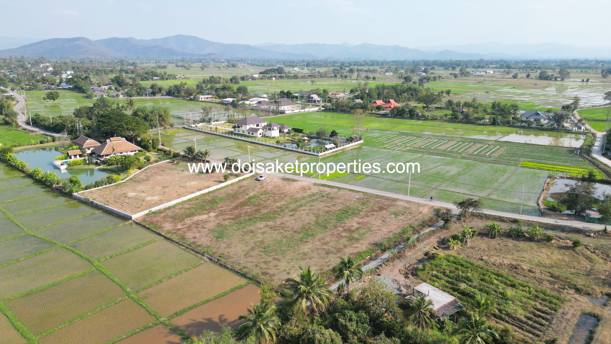 Doi Saket-DSP-(LS402-03) Scenic Plot of Land with Mountain and Rice Paddy Views in Pa Pong