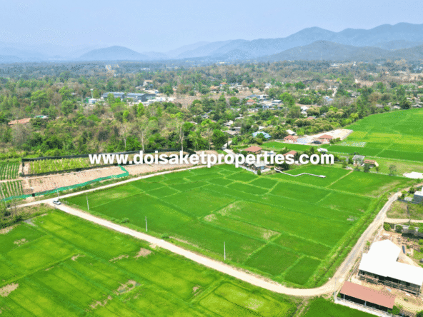 Doi Saket