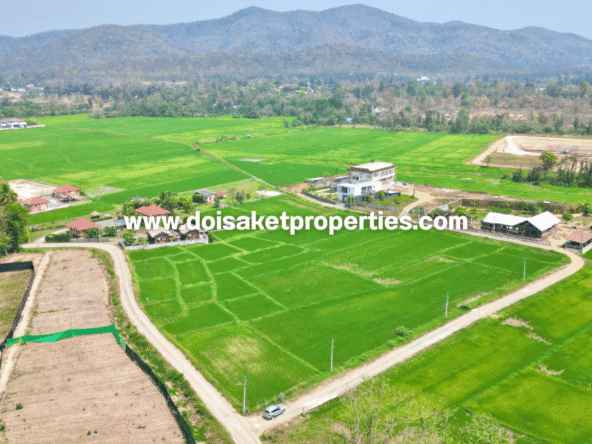 Doi Saket-DSP-(LS405-07) Scenic 7+ Rai Plot of Land with Mountain and Rice Paddy Views for Sale in Choeng Doi