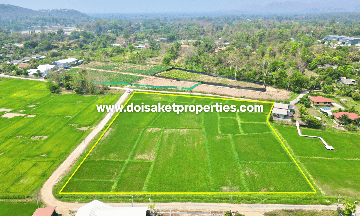 Doi Saket-DSP-(LS405-07) Scenic 7+ Rai Plot of Land with Mountain and Rice Paddy Views for Sale in Choeng Doi