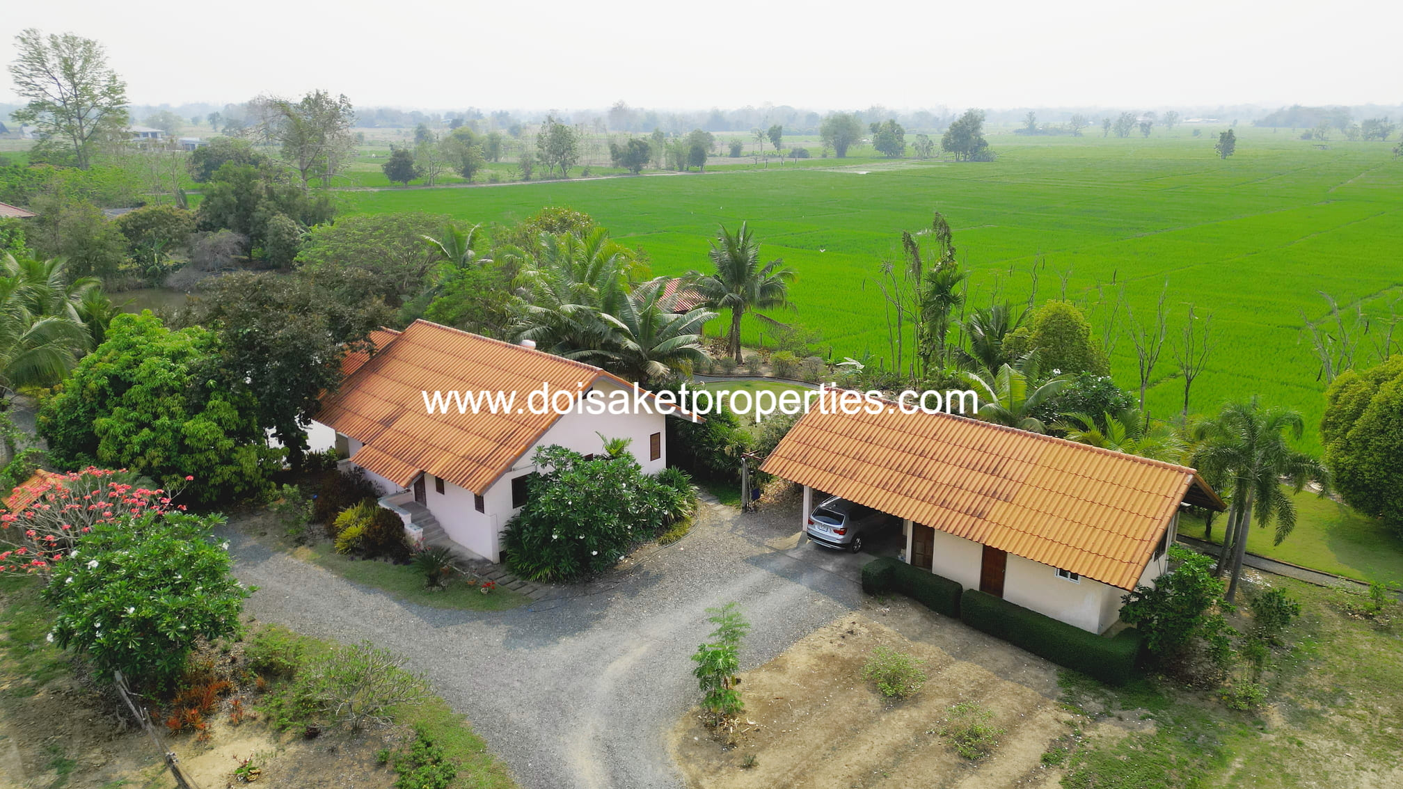 Doi Saket-DSP-(LS406-04) Peaceful 4+ Rai Plot of Land with Homes and Mountain Views for Sale in Pa Pong