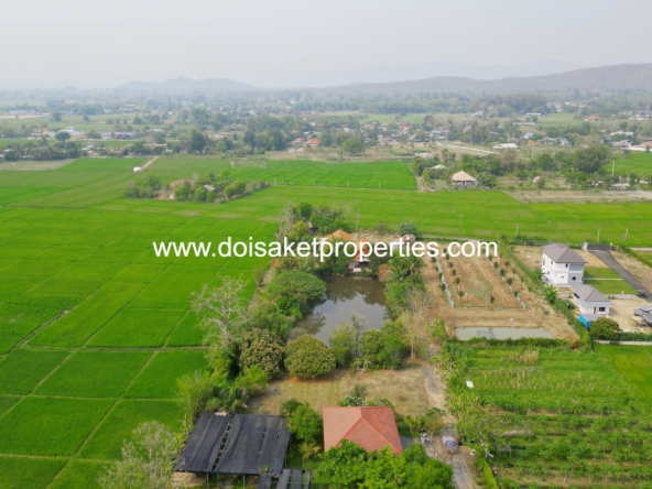 Doi Saket-DSP-(LS406-04) Peaceful 4+ Rai Plot of Land with Homes and Mountain Views for Sale in Pa Pong