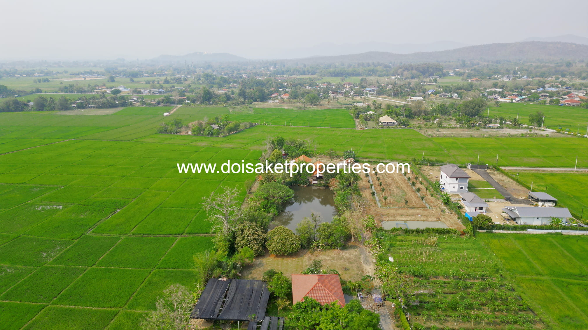 Doi Saket-DSP-(LS406-04) Peaceful 4+ Rai Plot of Land with Homes and Mountain Views for Sale in Pa Pong