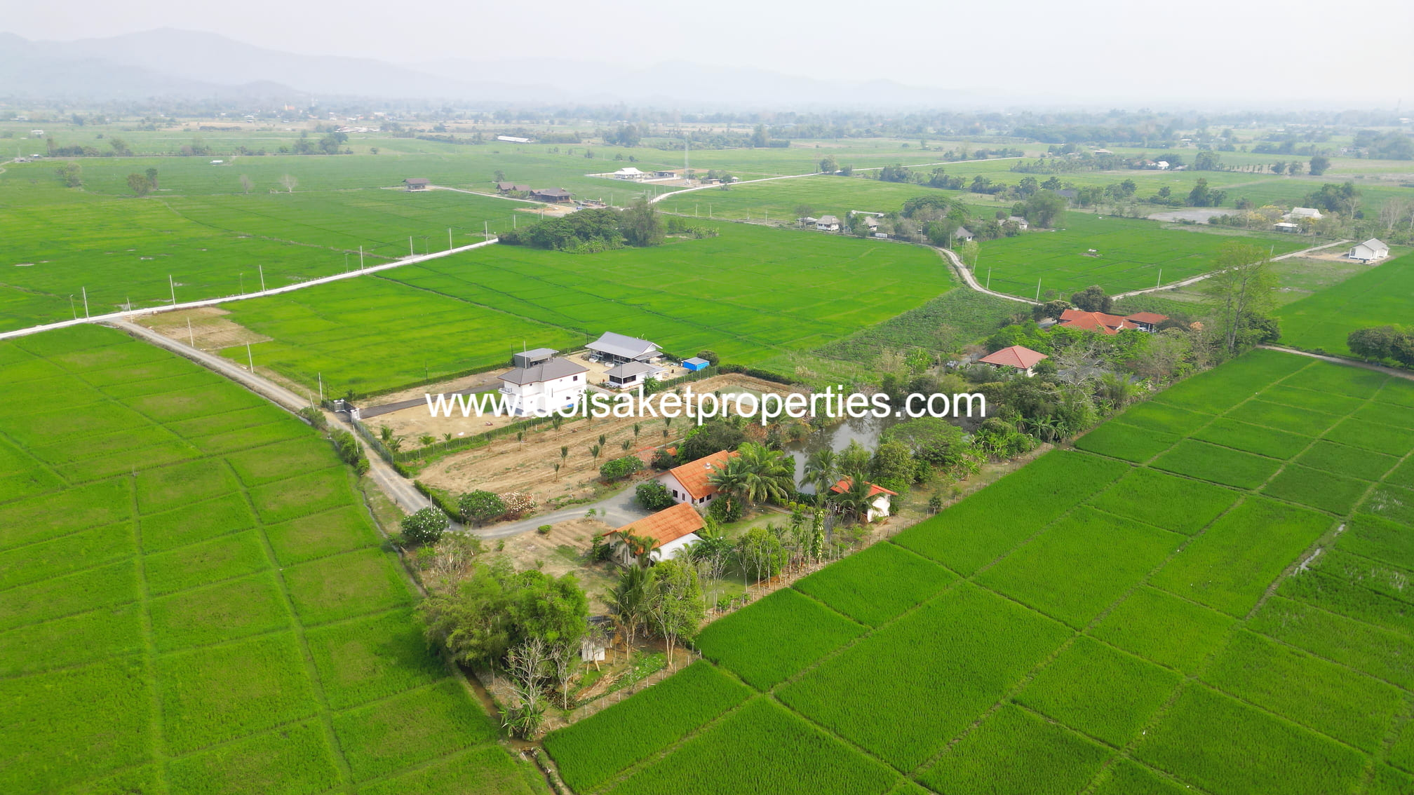 Doi Saket-DSP-(LS406-04) Peaceful 4+ Rai Plot of Land with Homes and Mountain Views for Sale in Pa Pong