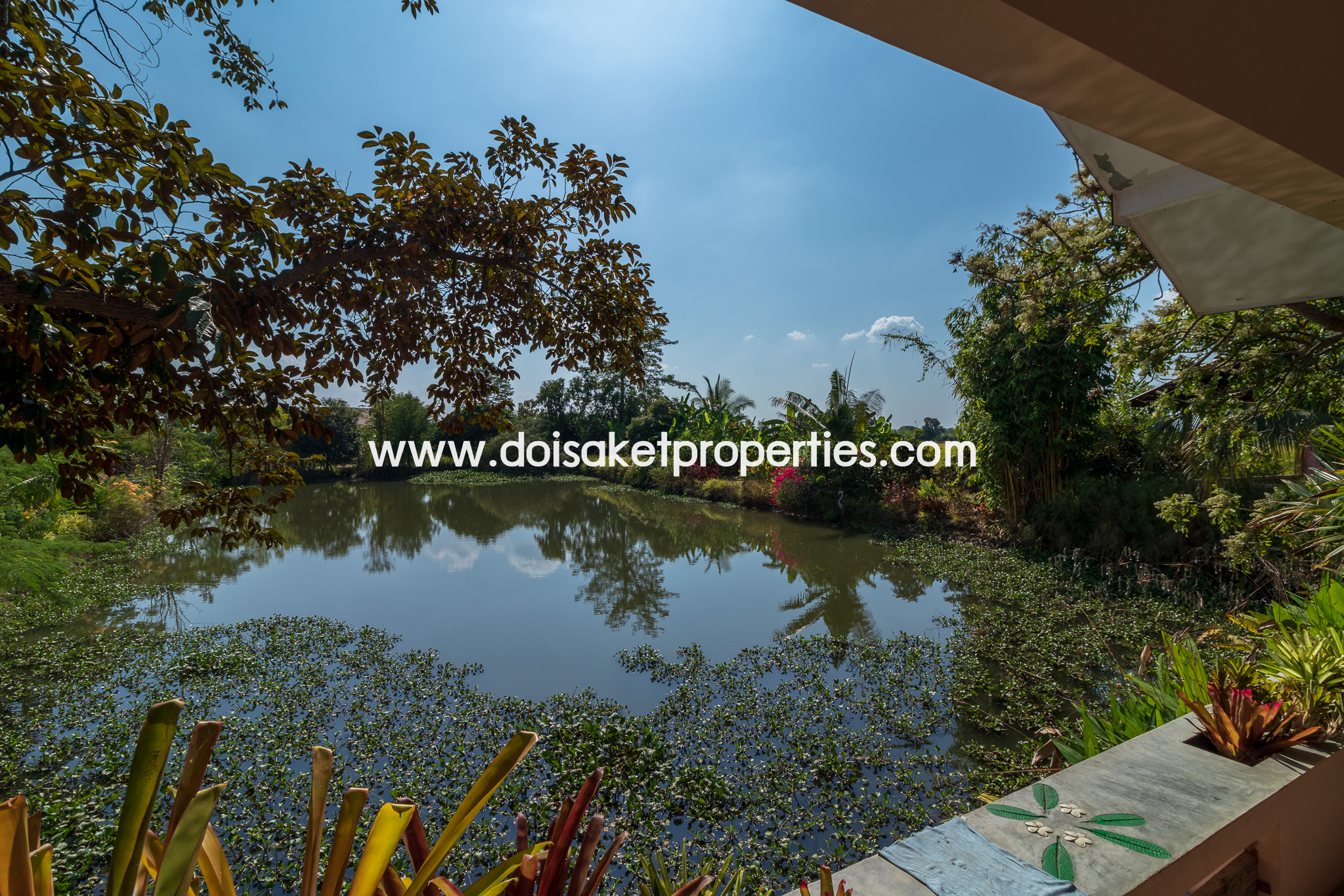 Doi Saket-DSP-(LS406-04) Peaceful 4+ Rai Plot of Land with Homes and Mountain Views for Sale in Pa Pong