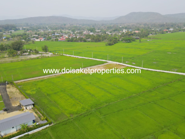 and a Peaceful Atmosphere for Sale in Pa Pong