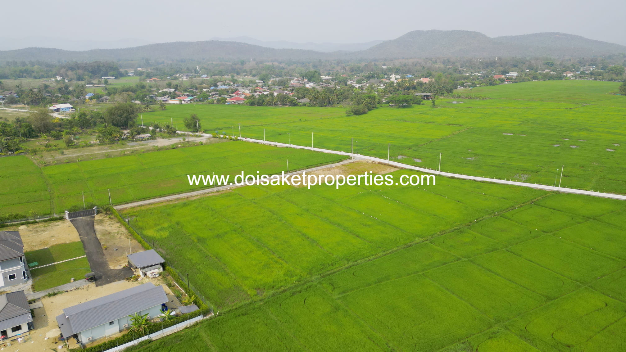 and a Peaceful Atmosphere for Sale in Pa Pong