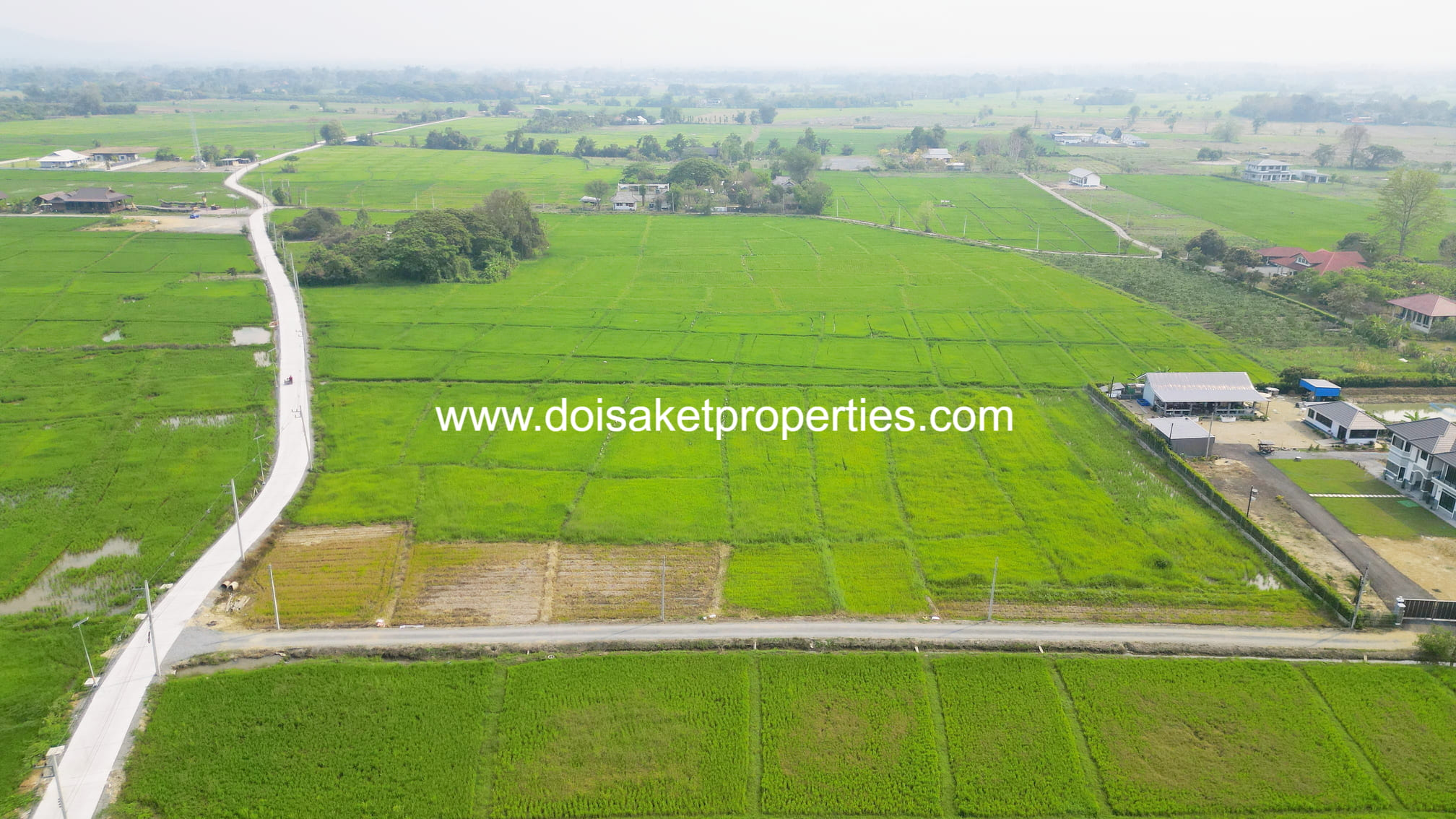Doi Saket-DSP-(LS407-06) Scenic ~6 Rai Plot of Land with Expansive Rice Fields