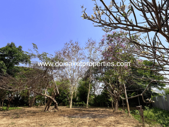 Doi Saket-DSP-(LS409-03) Tranquil