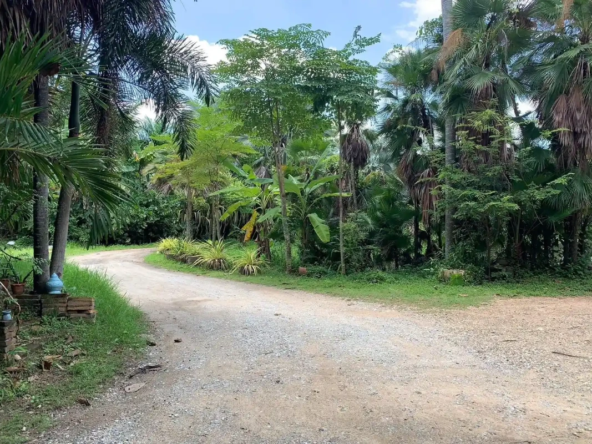 3 Rai Land for Sale Chiang Mai - Hang Dong