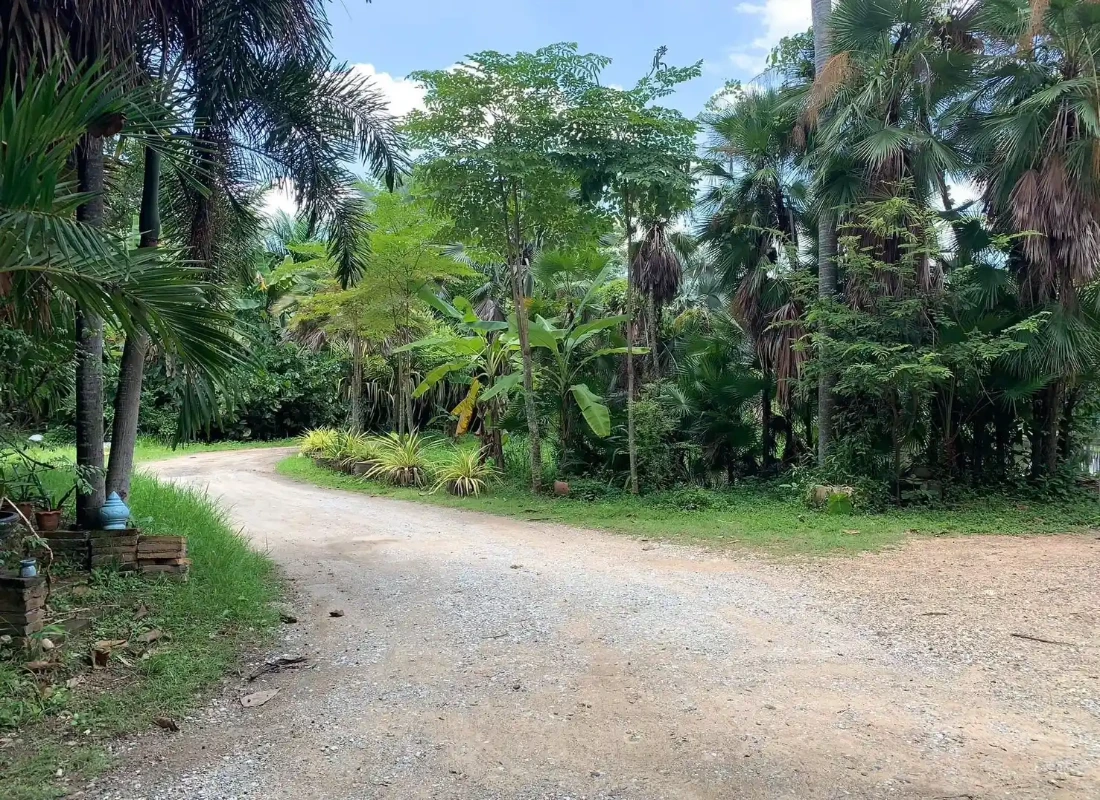 3 Rai Land for Sale Chiang Mai - Hang Dong