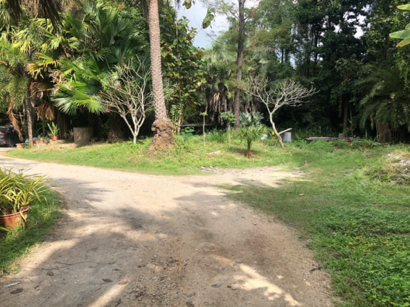 3 Rai Land for Sale Chiang Mai - Hang Dong