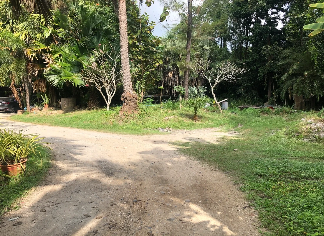 3 Rai Land for Sale Chiang Mai - Hang Dong
