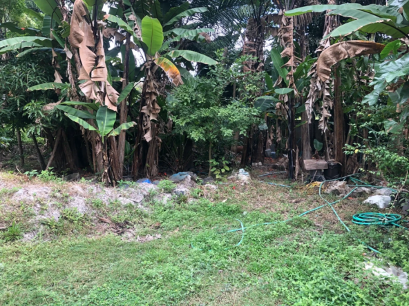 3 Rai Land for Sale Chiang Mai - Hang Dong