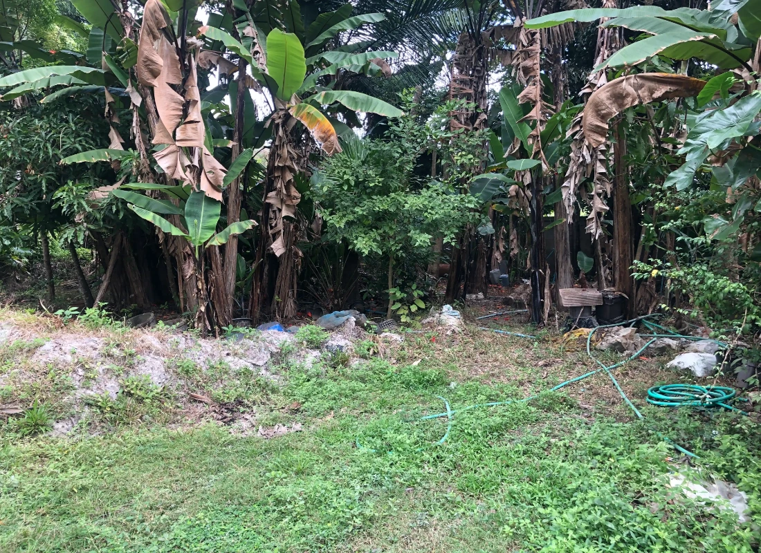 3 Rai Land for Sale Chiang Mai - Hang Dong