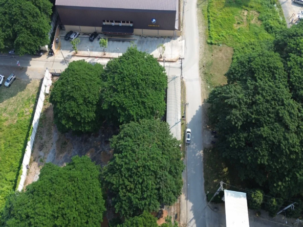 Chiangmai Real Estate for Sale – 800 Sq Wah Land-CMP-377
