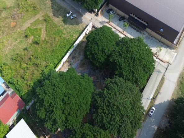 Chiangmai Real Estate for Sale – 800 Sq Wah Land-CMP-377