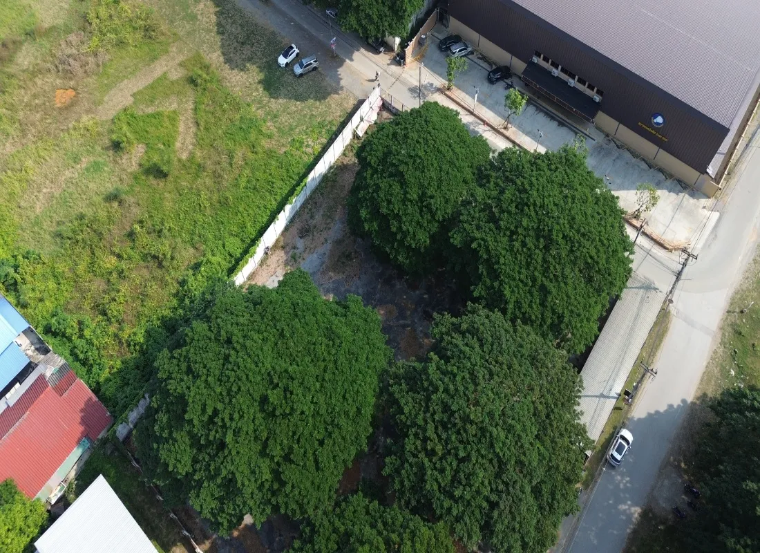 Chiangmai Real Estate for Sale – 800 Sq Wah Land-CMP-377