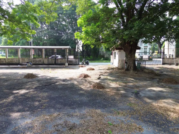 Chiangmai Real Estate for Sale – 800 Sq Wah Land-CMP-377