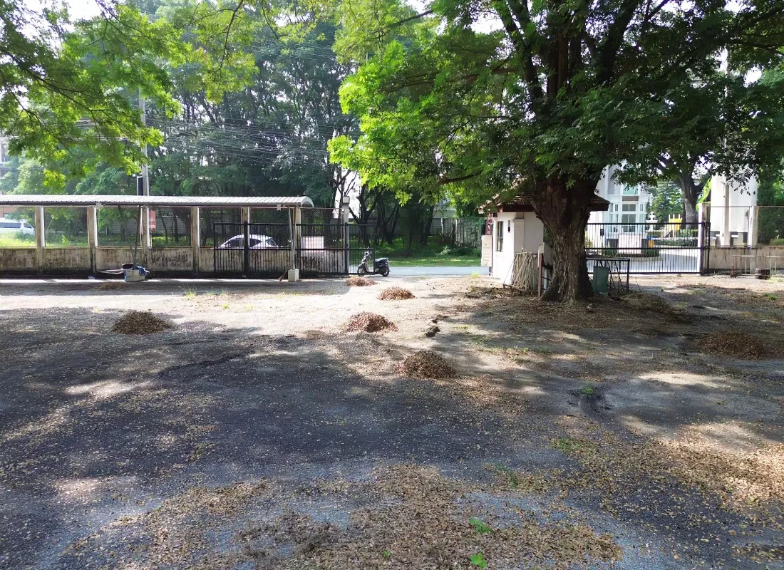 Chiangmai Real Estate for Sale – 800 Sq Wah Land-CMP-377