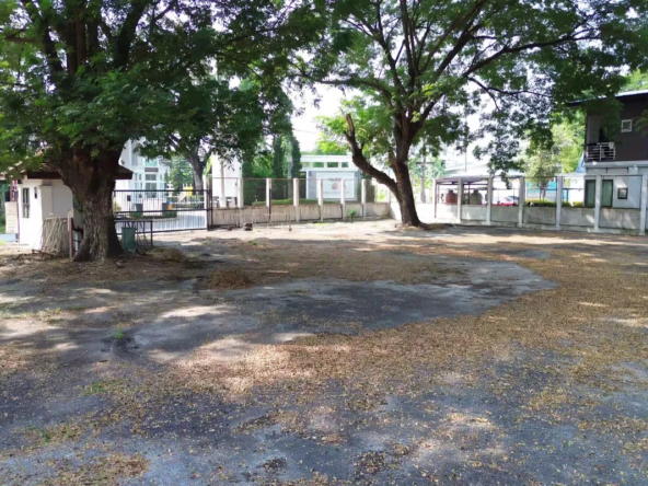 Chiangmai Real Estate for Sale – 800 Sq Wah Land-CMP-377