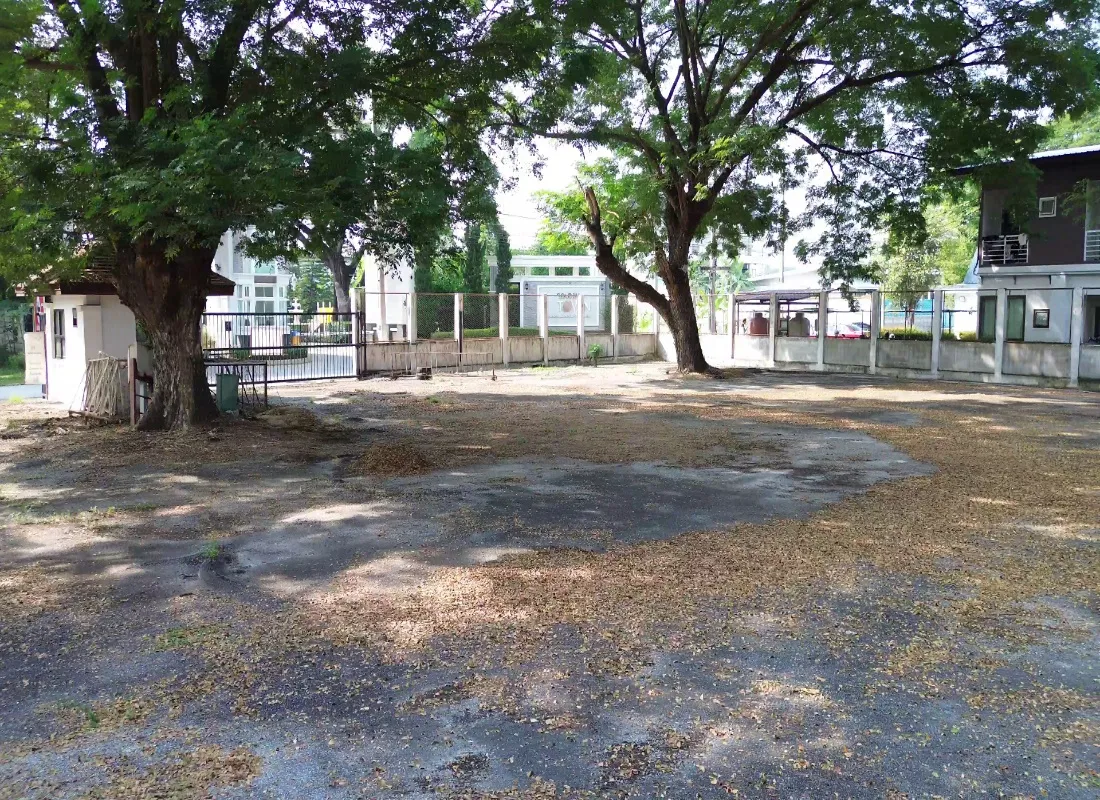 Chiangmai Real Estate for Sale – 800 Sq Wah Land-CMP-377