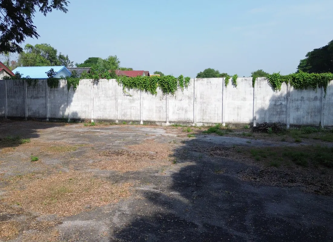 Chiangmai Real Estate for Sale – 800 Sq Wah Land-CMP-377