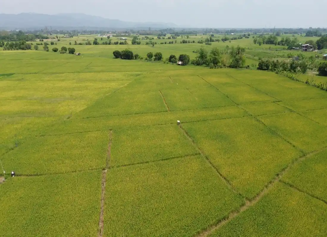 Vacant Land in San Pong Mae Rim-CMP-395
