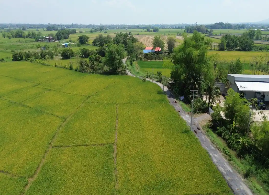 Vacant Land in San Pong Mae Rim-CMP-395