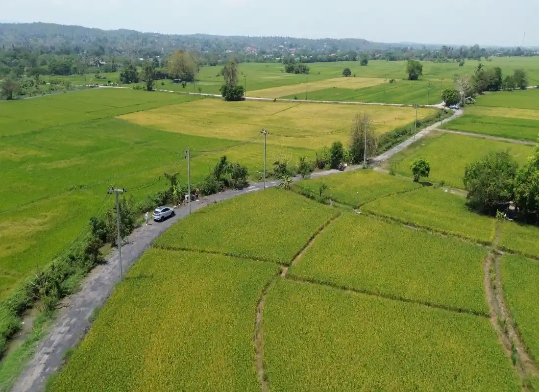 Vacant Land in San Pong Mae Rim-CMP-395