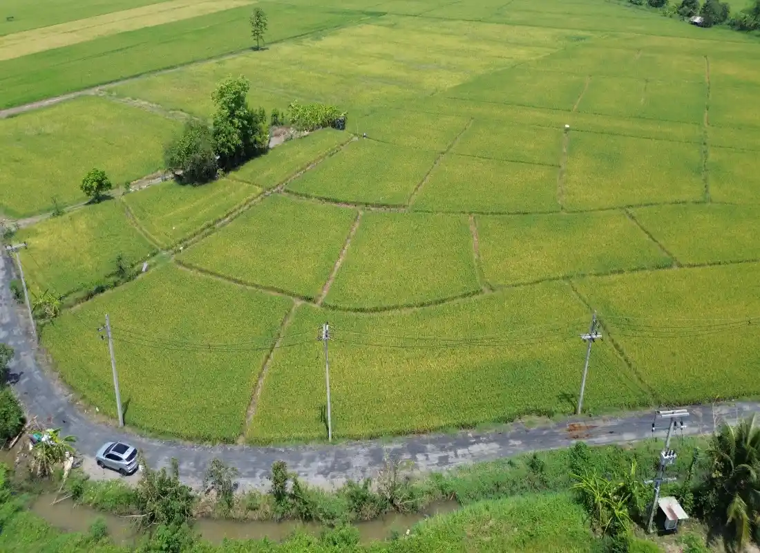 Vacant Land in San Pong Mae Rim-CMP-395