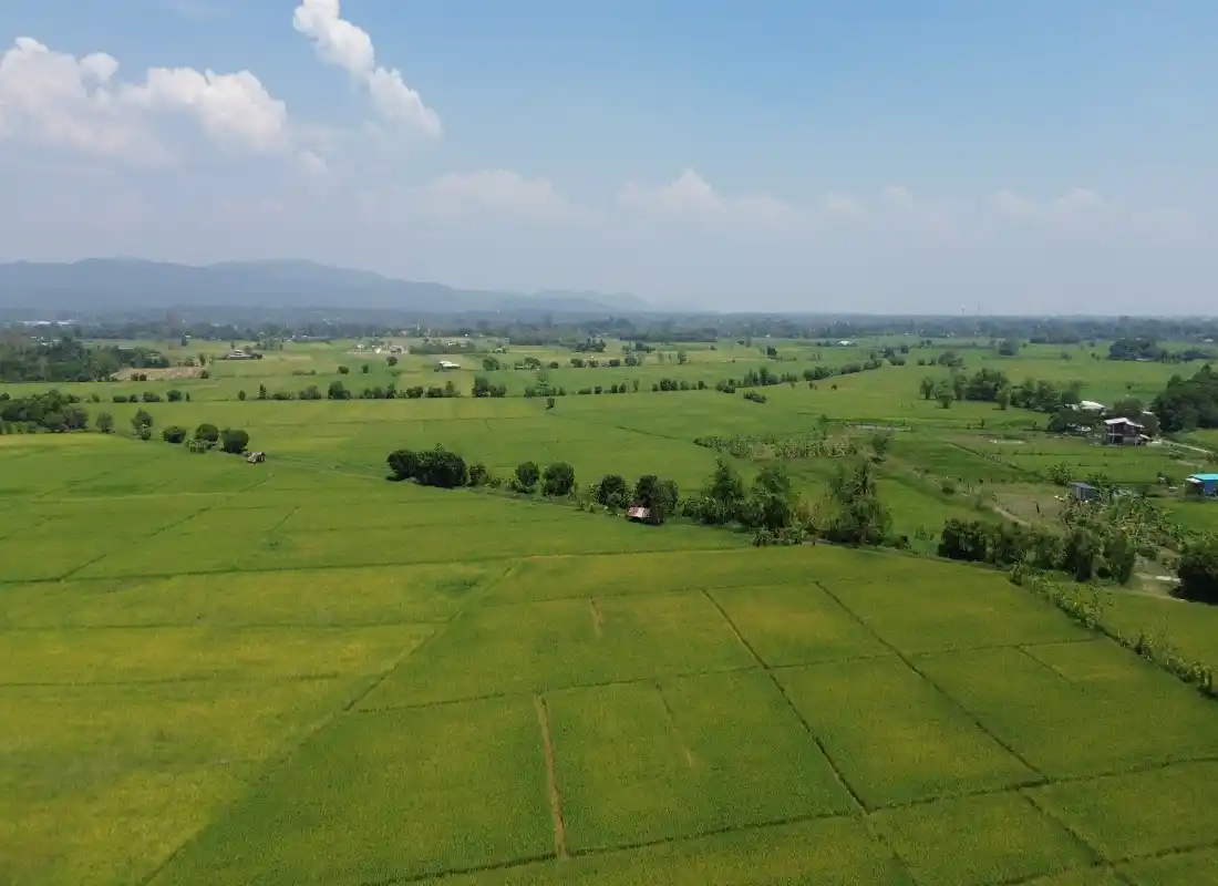 Vacant Land in San Pong Mae Rim-CMP-395