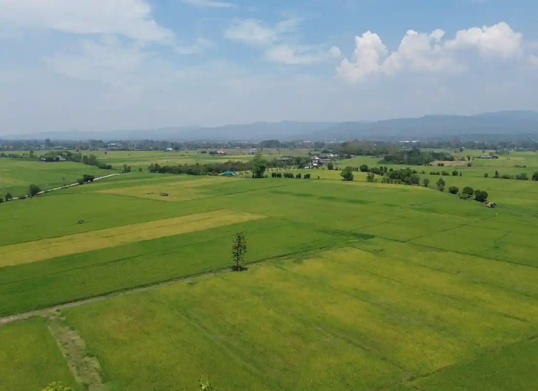 Vacant Land in San Pong Mae Rim-CMP-395