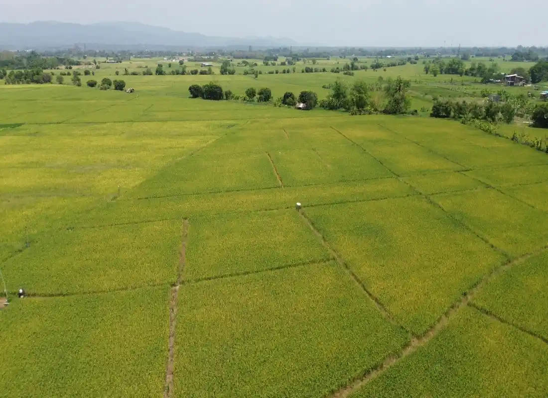 Vacant Land in San Pong Mae Rim-CMP-395