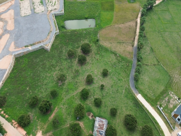 8 Rai Land for Sale | Saluang